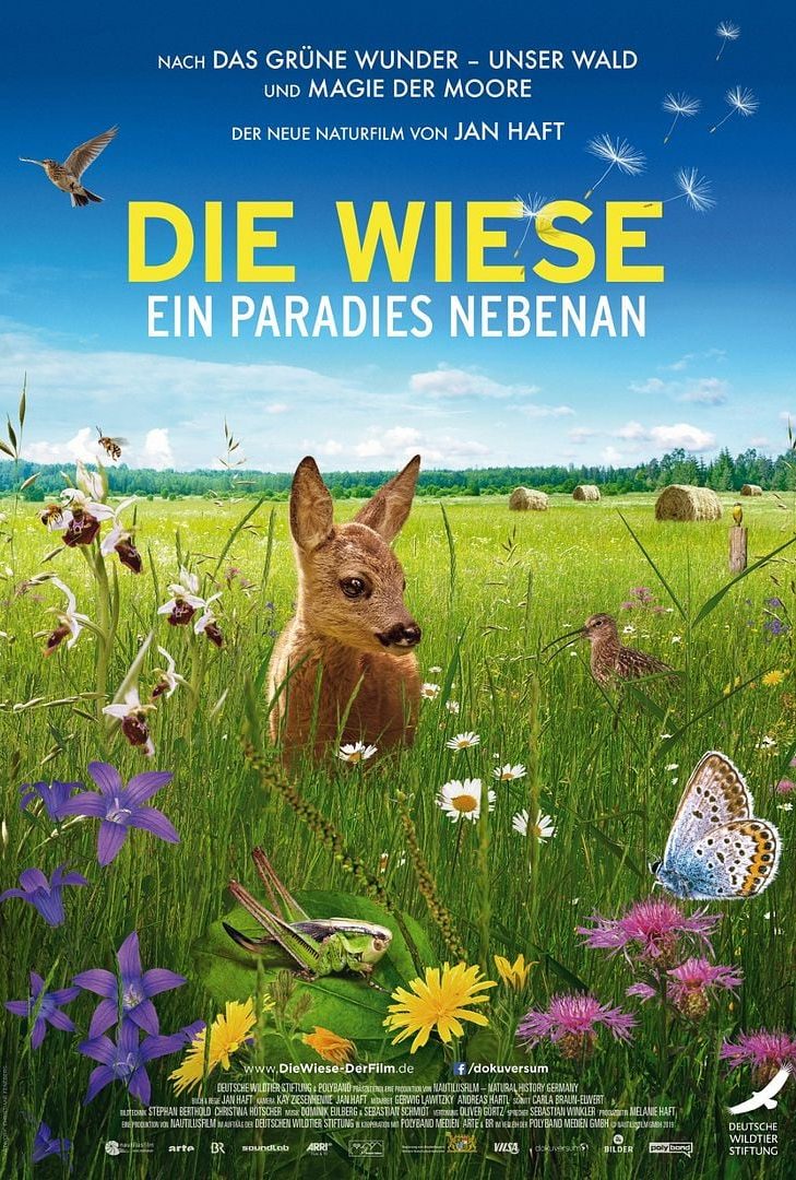Filmplakat „Die Wiese – Ein Paradies nebenan“ Filmplakat „Die Wiese – Ein Paradies nebenan“